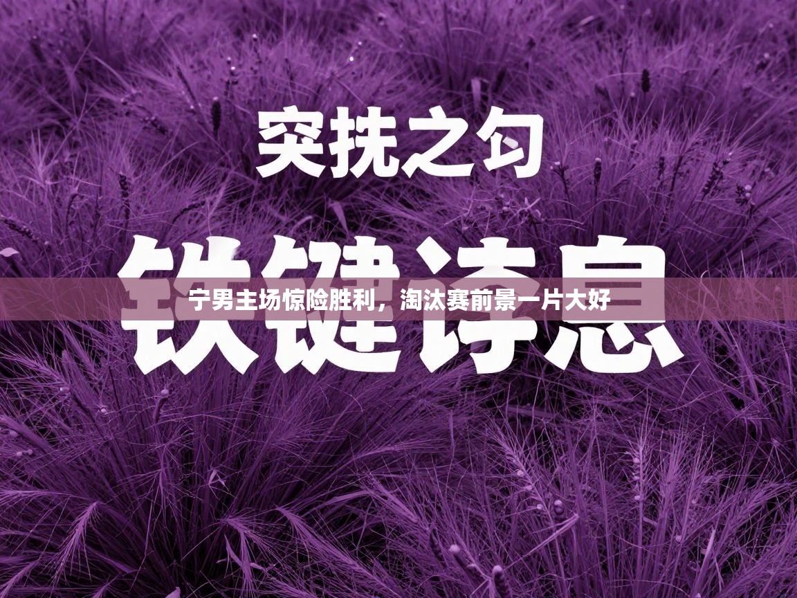 宁男主场惊险胜利，淘汰赛前景一片大好  第1张
