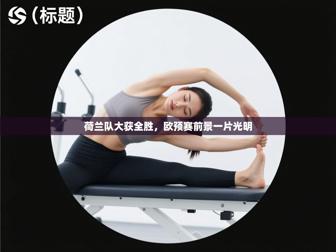 荷兰队大获全胜，欧预赛前景一片光明  第1张