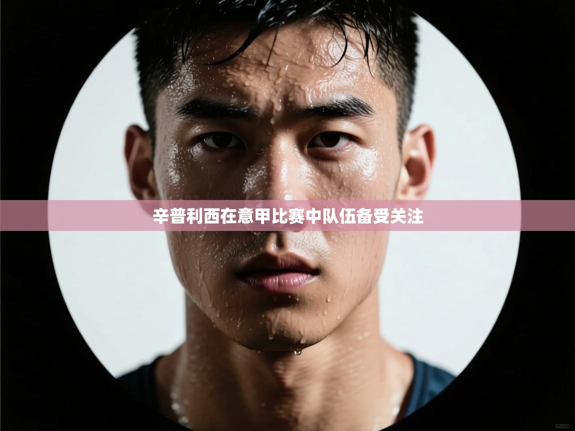 辛普利西在意甲比赛中队伍备受关注  第1张