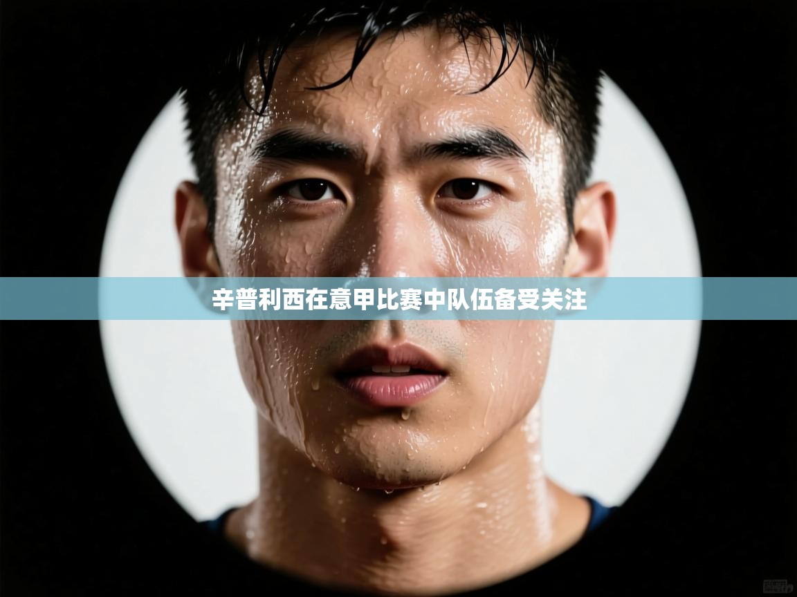 辛普利西在意甲比赛中队伍备受关注  第2张