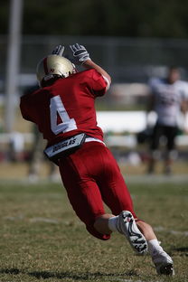 半岛体育在线登录-球场上的球迷尽情呐喊为自己心爱的球队加油！