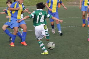 半岛官方体育登录入口-西蒙蒂纳连胜佛罗伦萨，提前锁定冠军，西蒙尼蒂