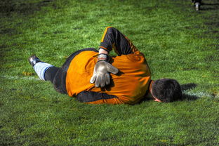 半岛app官方下载-葡萄牙队赢得友谊赛，备战国际比赛